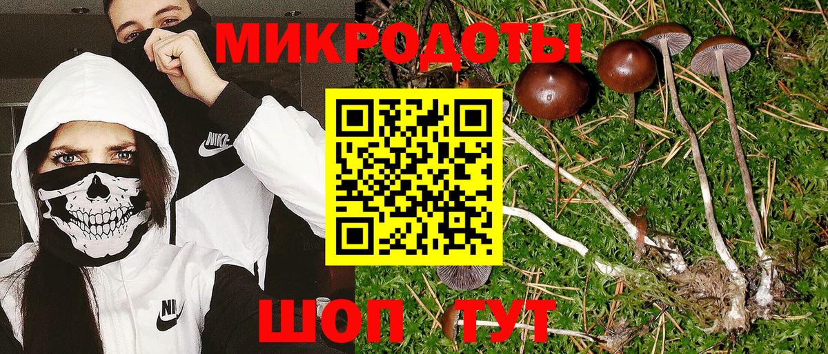 Галлюциногенные грибы Magic Shrooms Сургут