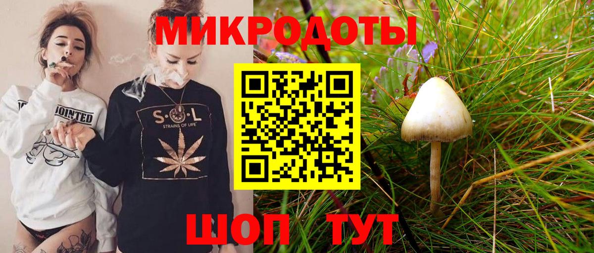Сургут  Псилоцибиновые грибы Cubensis  Вход с VPN 